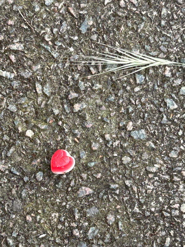 After the school run