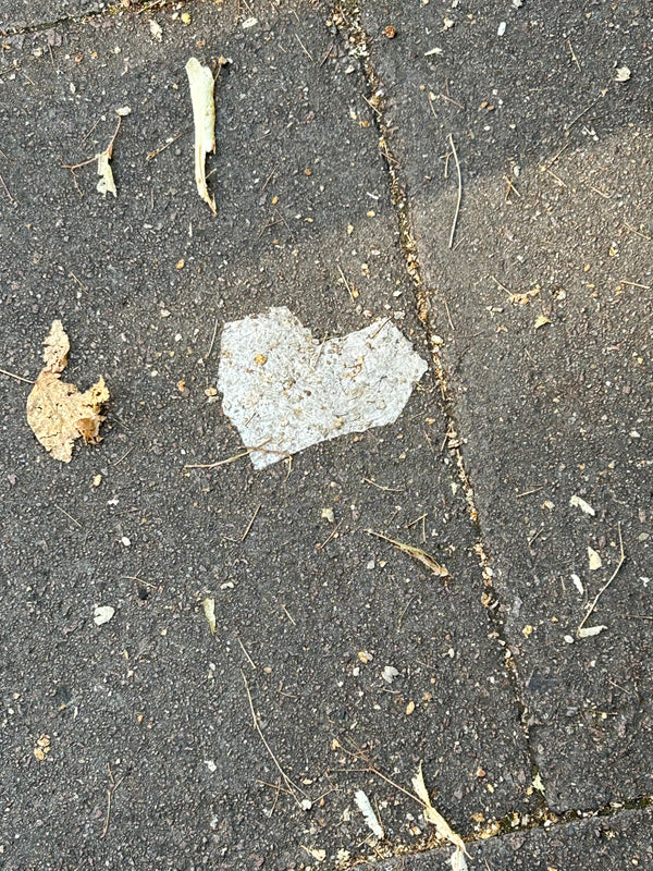 Early Autumn Morning