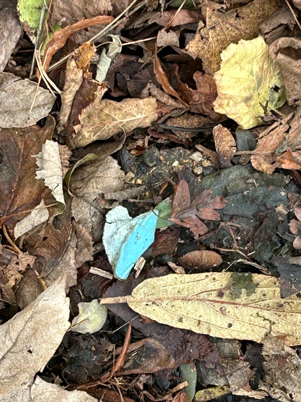 Glimmer in the leaves