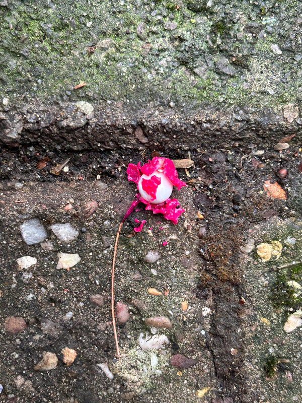 Deconstructed Decoration