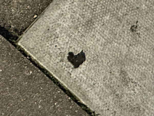 On an evening wander